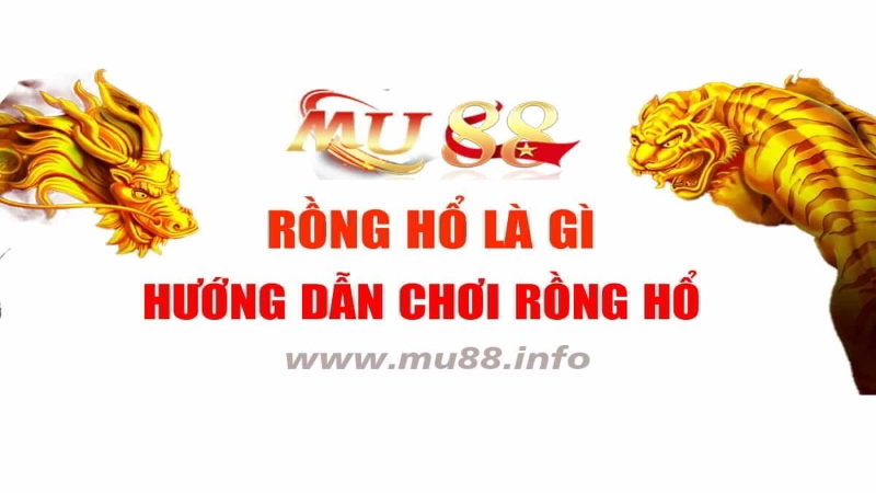 Những kinh nghiệm khi chơi game Rồng hổ mu88