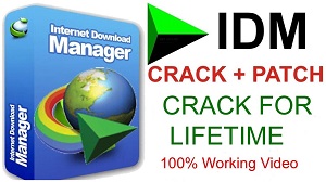 Internet Download Manager Crack 6.41 Build 22 With Patch {100% Working} 2024 1